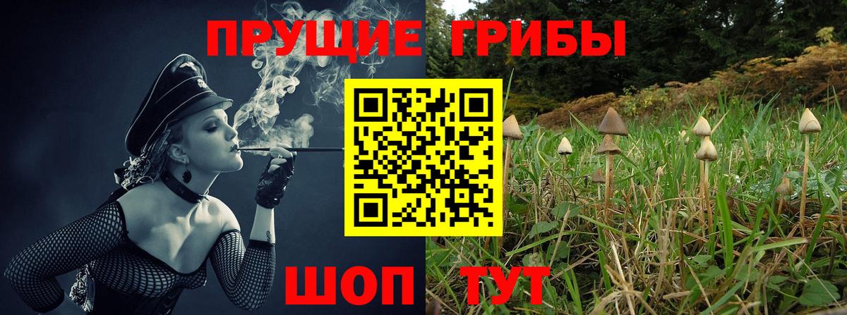 Псилоцибиновые грибы Magic Shrooms Чайковский